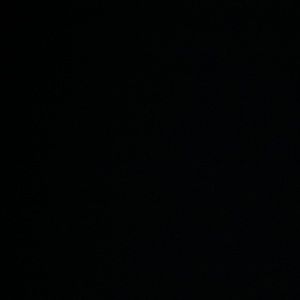 Meet your Posher, Abbi